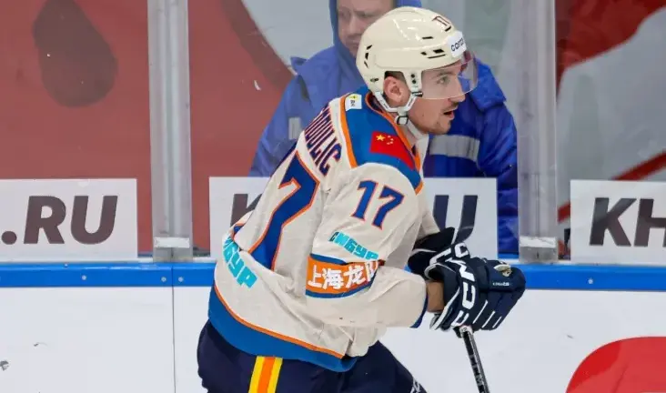 Борна Рендулич выступил против введения Fan ID в КХЛ