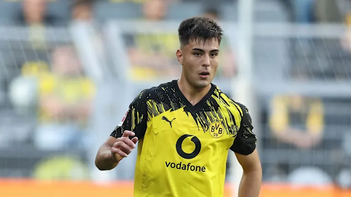 Ковач беспокоится о нагрузке на Ансельмино и Чуквуэмека