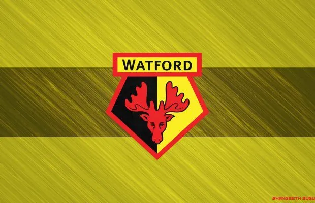 «Уотфорд» подписал контракт с Ребеккой Даусетт