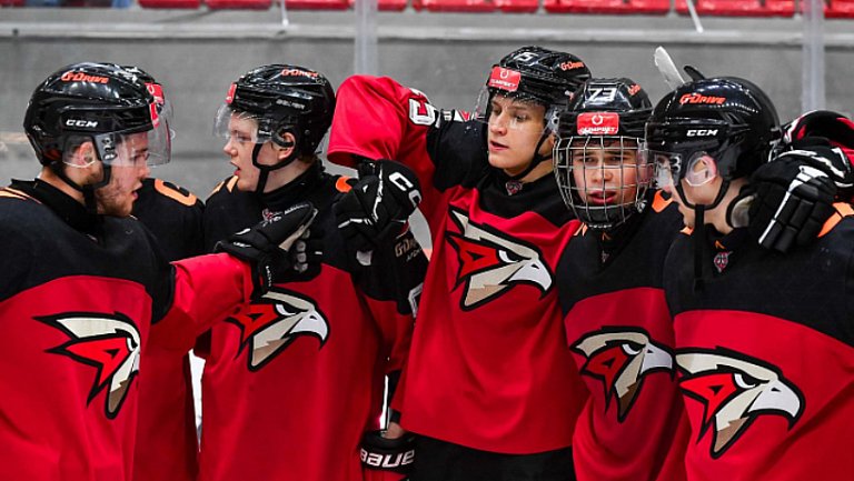 «Ястребы» одержали уверенную победу над «Медведями»