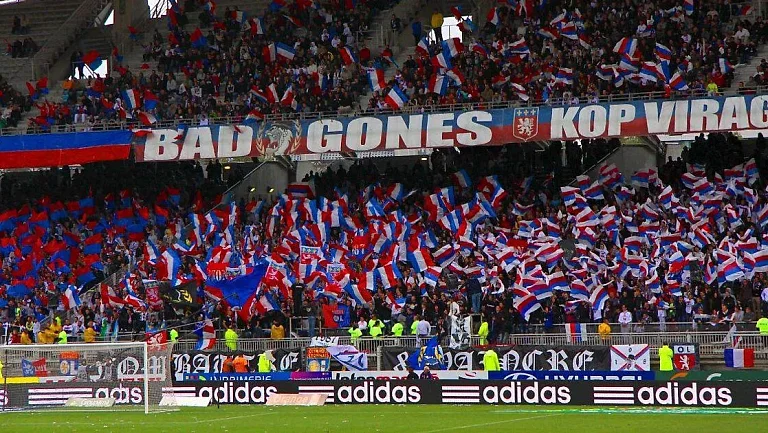 Фанатов «Лиона» хотели обвинить в смерти собаки на матче Лиги 1