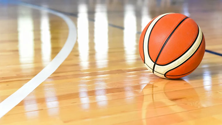 Секс-игрушка вновь попала на корт в игре WNBA