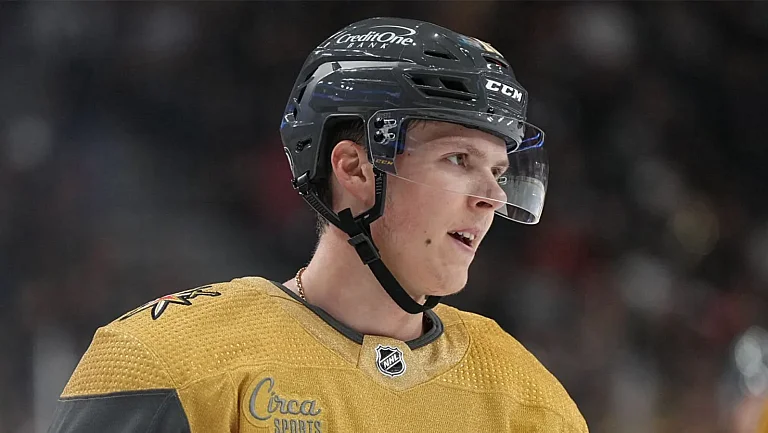 Гол Дорофеева и передача Барбашёва не помогли «Вегасу» победить «Анахайм»