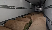 Газон возвращается на «Камп Ноу»