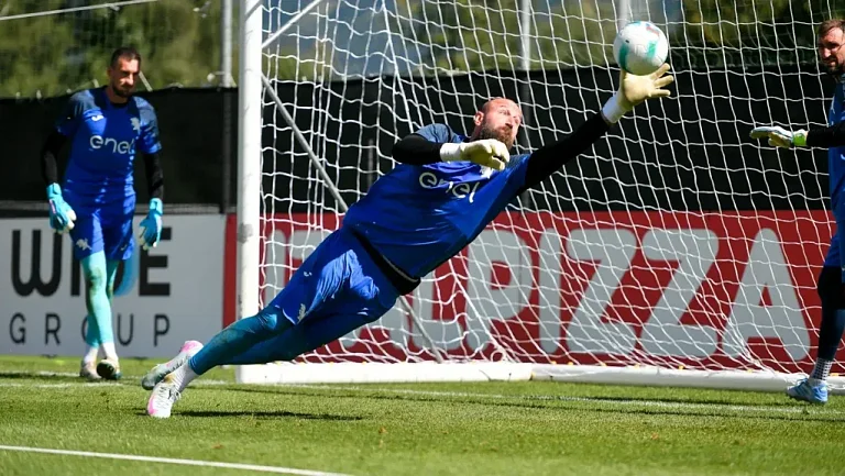 «Наполи» арендовал вратаря Милинковича-Савича у «Торино»