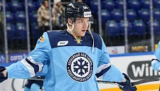 «Сибирь» усилилась нападающим Максимом Сушко