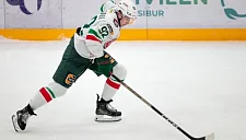 Хоккеисты «Ак Барса» помогли восстановить историческую беседку в Казани