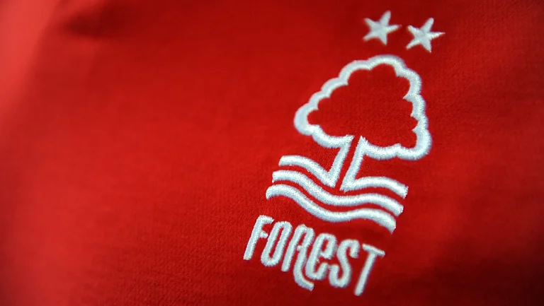 СМИ сообщили о возможных преемниках Нуну в «Ноттингем Форест»