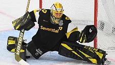 Подъяпольский о призе лучшему вратарю сезона в КХЛ