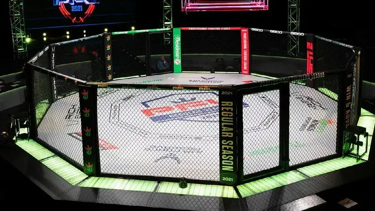 Боец ММА Исмаилов спровоцировал скандал спаррингом с памятником в Москве