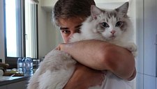 Де Кетеларе: Возрождение в «Аталанте» после неудач в «Милане»

