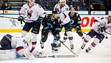 «Торпедо» – «Динамо» Минск: у «зубров» всё по плану