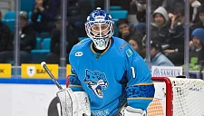 Вратарь «Барыса» Бояркин назвал назначение Кравца «пинком под зад»
