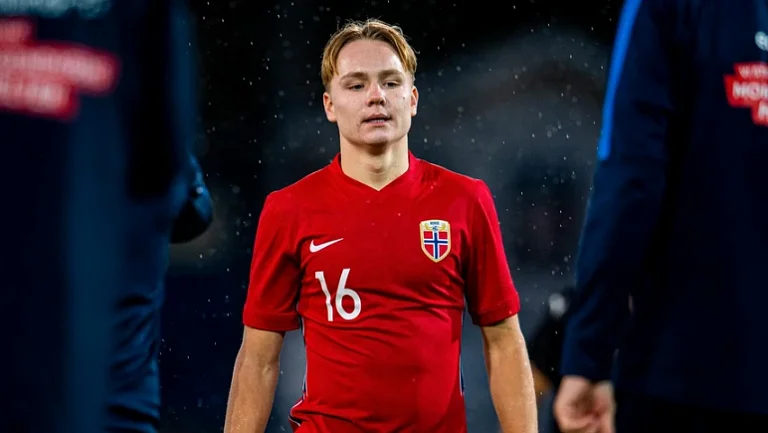 Скьеллеруп приговорён судом за распространение видео сексуального характера