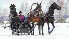 Русскую тройку хотят официально признать спортивной дисциплиной