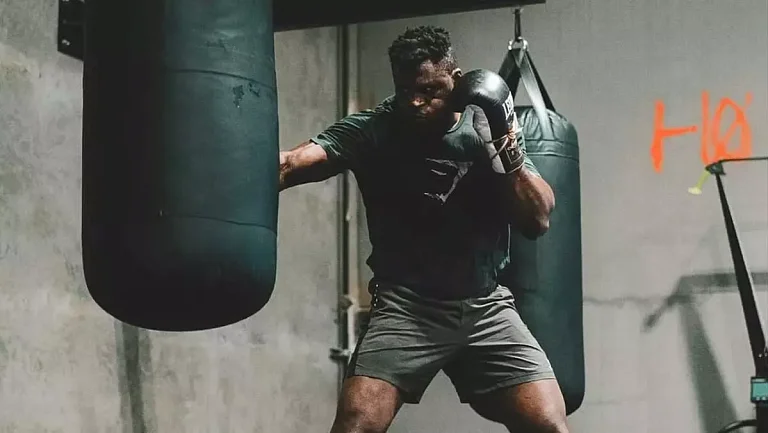 Александр Романов предложил Нганну следующий бой в боксе