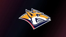 «Магнитка» обыграла «Салават Юлаев» и стала победителем мемориала