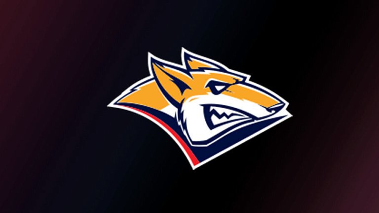 «Магнитка» обыграла «Салават Юлаев» и стала победителем мемориала