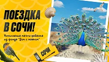 БК «Мелбет» вновь выступила благотворителем для одной из подопечных фонда «Дом с маяком»