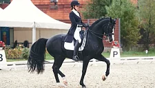 Чемпионат России по выездке продолжается после пожара