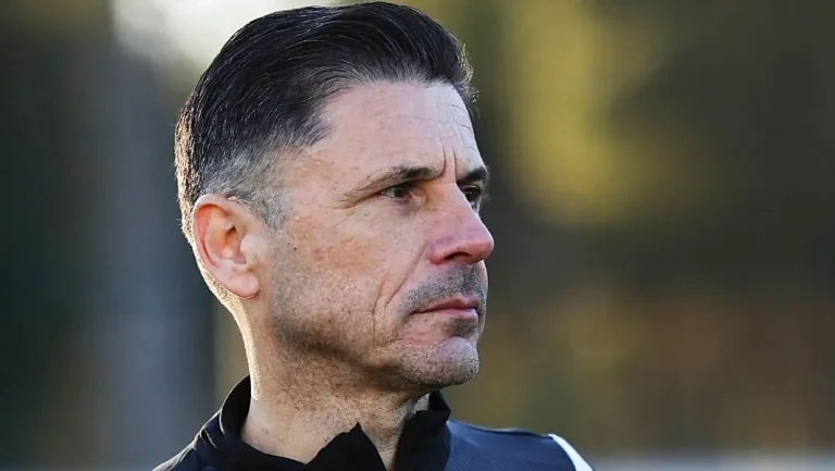 Мажич — Аршавину о пенальти: «Судьи действуют по правилам ФИФА»