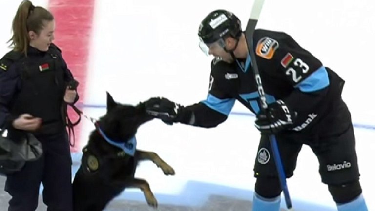 Служебная собака укусила нападающего ЦСКА Карнаухова перед матчем КХЛ