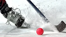 Швеция разгромила Финляндию в финале ЧМ по хоккею с мячом