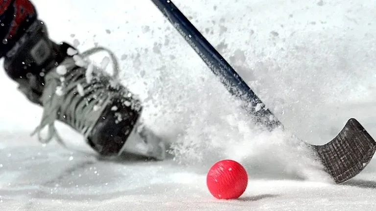 Швеция разгромила Финляндию в финале ЧМ по хоккею с мячом