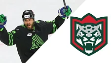 «Ак Барс» ведёт переговоры с Ливо после ухода из «Салавата Юлаева»