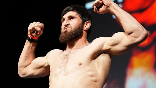 Анкалаев уверяет: на UFC 313 появится новый чемпион — его победа над Перейрой неизбежна