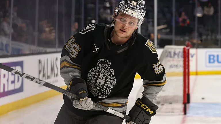 Клубы КХЛ хотят подписать бывшего одноклубника Овечкина в «Вашингтоне»