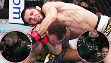 Реакция Нурмагомедова на победу Махачева над Мойкано стала вирусной