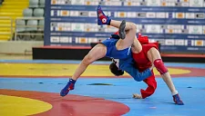 Глава FIAS хочет сказать, что у самбо растут шансы попасть в программу ОИ