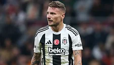 «Болонья» работает над подписанием Иммобиле: что нужно для сделки?