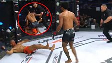 Фанаты требуют наказания для рефери MMA после запоздалой остановки боя