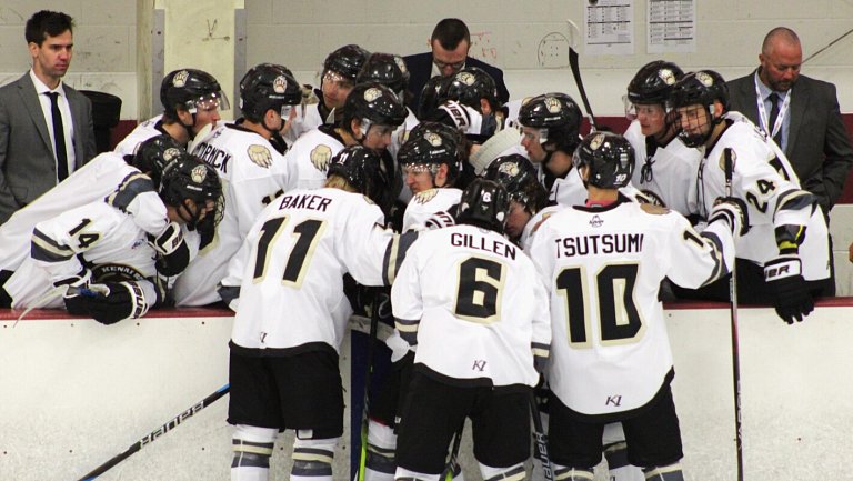 Нестлер продолжит карьеру в NCAA, подписав контракт с Конкордией