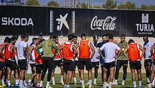 Димитриевски вернулся к тренировкам