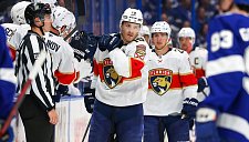 Тампа на грани провала — сможет ли Василевский остановить Пантер?