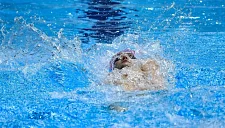 Российские пловцы проведут подготовку к Олимпиаде-2028 в США