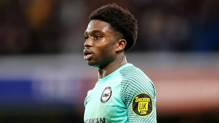 Тарик Лэмпти стал игроком «Фиорентины»