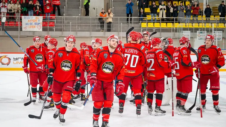 «АКМ» – «Горняк-УГМК»: хозяева не удержат темп