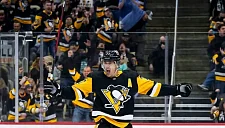 Малкин решил судьбу своей карьеры после окончания контракта