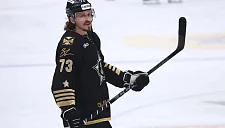 Капитан «Адмирала» Либор Шулак забил курьёзный автогол в матче КХЛ